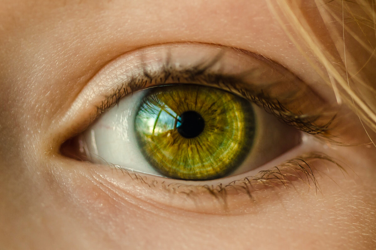 Chirurgie vitréo-rétinienne